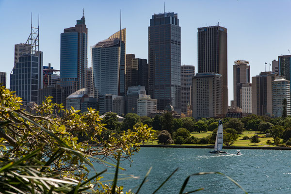 Sicht vom Botanischen Garten zur Skyline