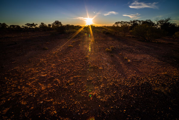 Raymore Road - unser Bushcamp - Sonnenaufgang am Morgen