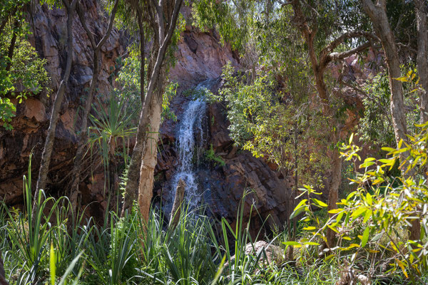 East Kimberley - Molly Springs