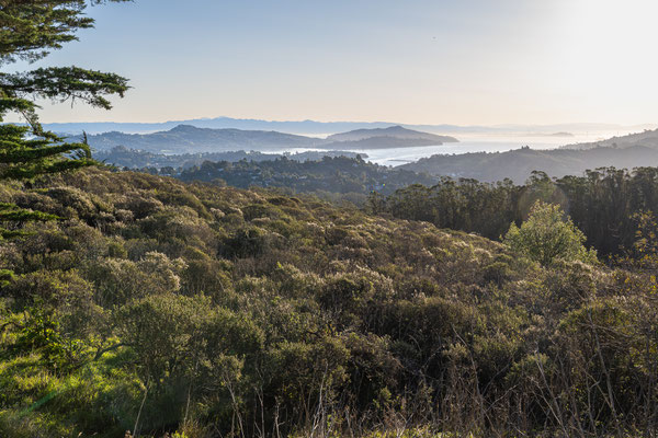 Auf dem Weg zum 'Muir Woods National Monument' - Aussicht über die Bucht von San Pablo
