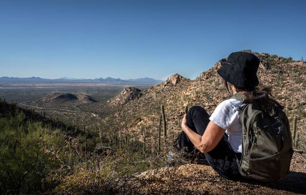 Saguaro National Park West - Hugh Norris Trail