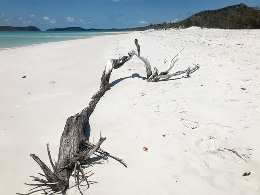 Hill Inlet - Whitehaven Beach