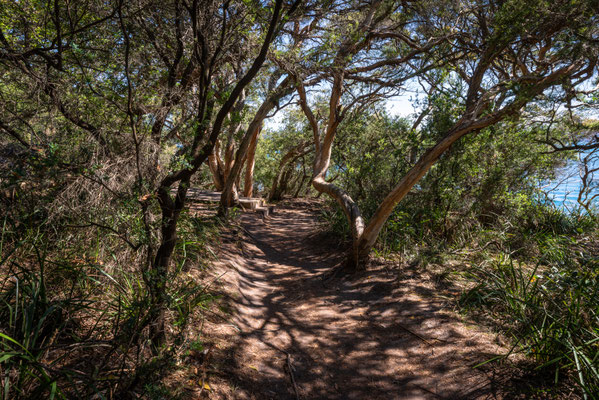 Hermitage Foreshore Walk 