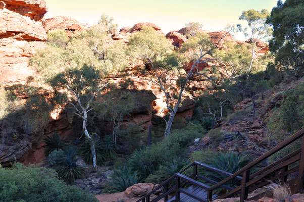 Kings Canyon Rim Walk - Garden Eden