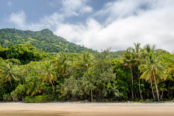 Coconut Beach