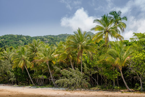 Coconut Beach