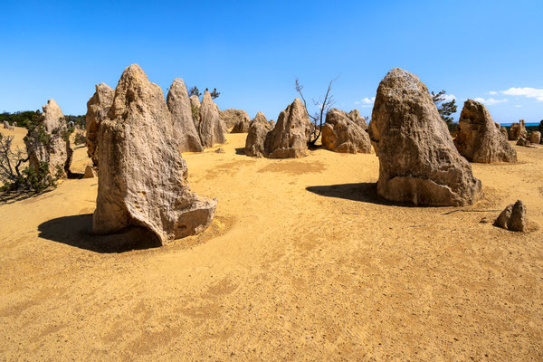 Pinnacles im Nambung National Park - auf dem 'Pinnacle Drive'