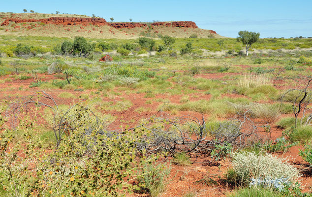 Pilbara