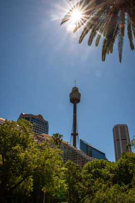 Hyde Park - mitten in Sydney