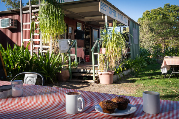 Murray's Place, Gregory - frischer Muffin vom Blech