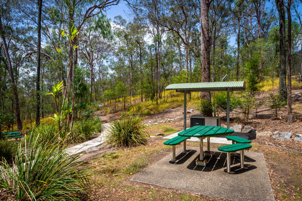 Mount Coot-tha Summit Track - Gold Mine Picknick Area