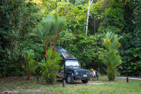 Lync Haven Rainforest Retreat, Daintree National Park - unsere Campingparzelle
