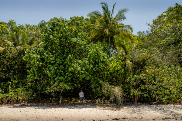 Coconut Beach