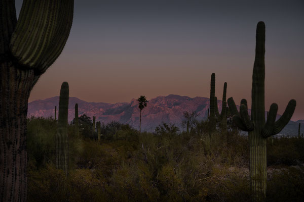 Sunset direkt vor der Stadt Tucson