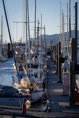 Campbell River - Harbour