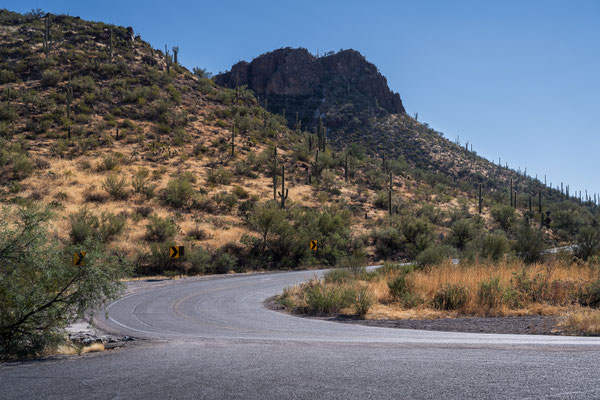 Saguaro National Park West - Cam-Boh Trailhead Parking Area