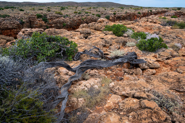Cape Range Nationalpark - Yardie Creek Top Walk