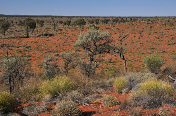 Red Center