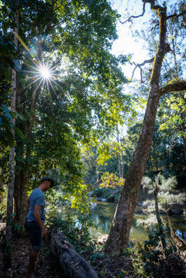 Eungella NPational Park - Fluss direkt beim Campground - warten auf den Platypus
