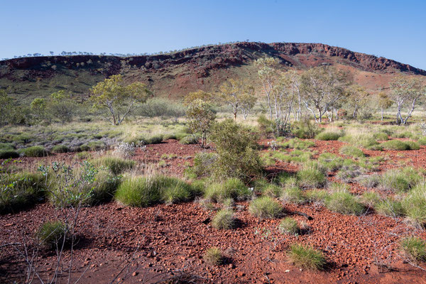 unterwegs im Karijini Nationalpark