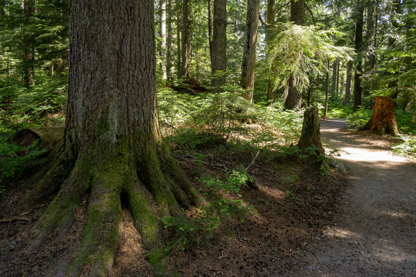 Cypress Provincial Park