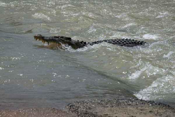 Cahills Crossing, Kakadu Nationalpark - die Flut