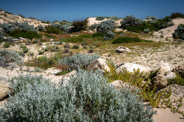 Mandurah, Yalgorup Nationalpark - ein Offroad-Vergnügen