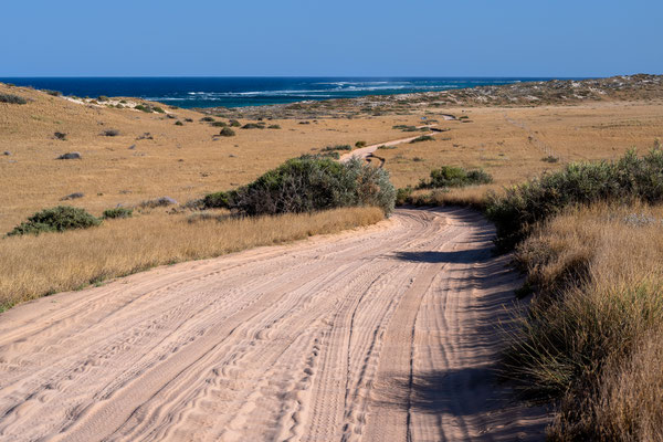 South Coastal Track 