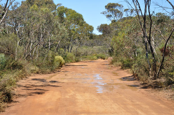 Unterwegs auf Kangaroo Island - Strasse nach Vivionne Bay