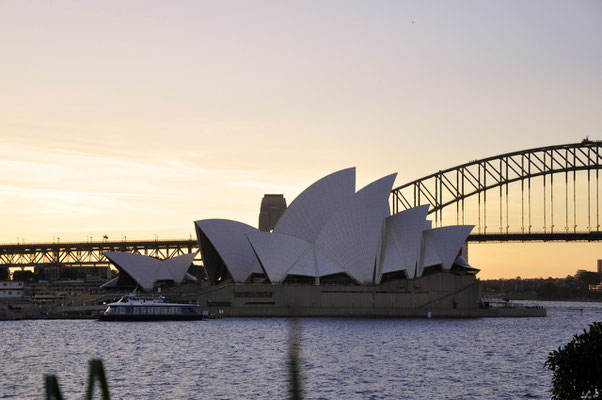 Opara und Harbour Bridge vom Botanischen Garten aus