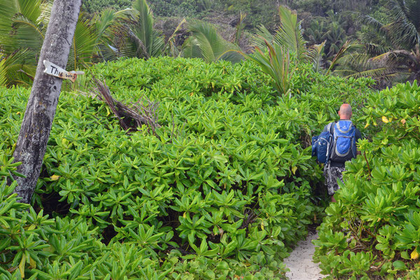 Auf dem Weg von der 'Grand Anse' zur 'Petit Anse'