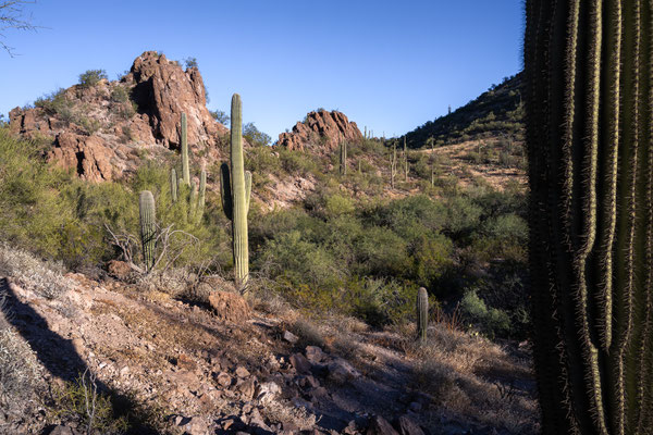 Picture Rock Trail