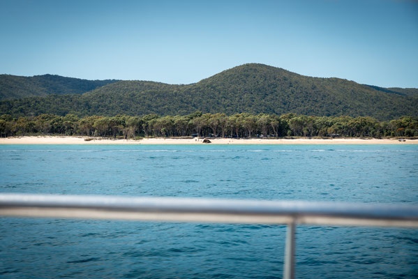 Auf dem Weg zu den Walen - Moreton Island im Hintergrund