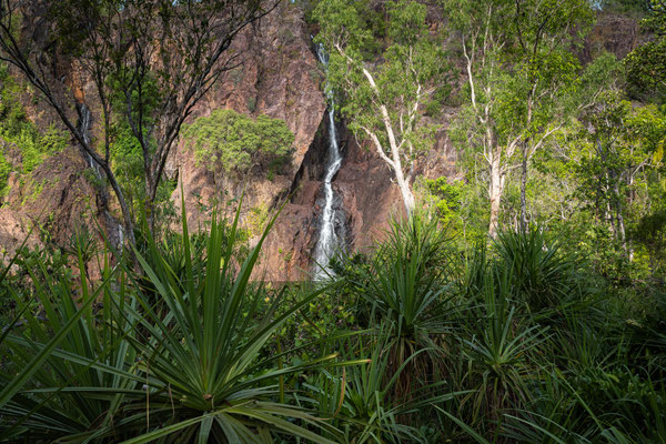 Litchfield Nationalpark - Wangi Falls 