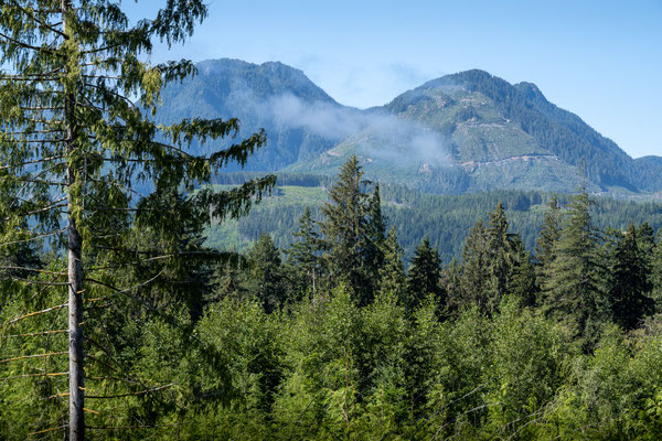 von Port McNeill nach Campbell River