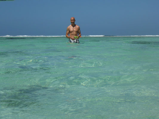 Schnorcheln an der 'Anse Source d'Argent' 