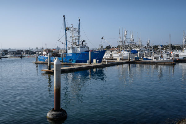 The Embarcadero 