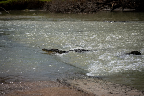 Cahills Crossing, Kakadu Nationalpark - die Flut