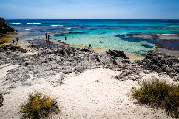 Rottnest Island - Rundfahrt um die Insel - The Basin