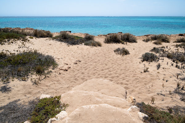 Cape Range Nationalpark - Osprey Bay Campground - vom Campground zum Strand