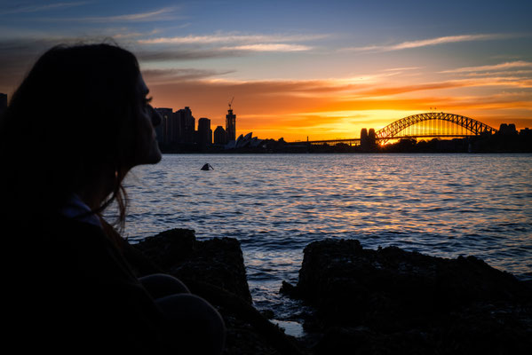 Bradleys Head - Athol Beach Sunset