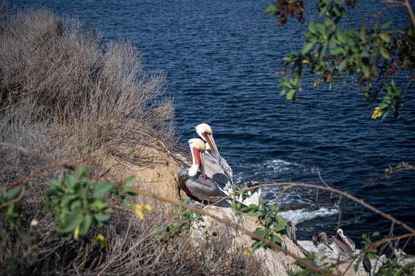 La Jolla Cove, San Diego