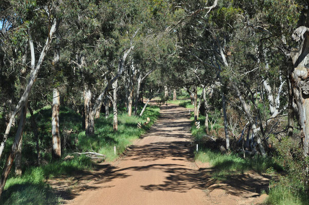 Unterwegs auf Kangaroo Island - nach Emu Bay