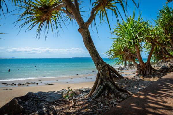 Noosa Heads National Park