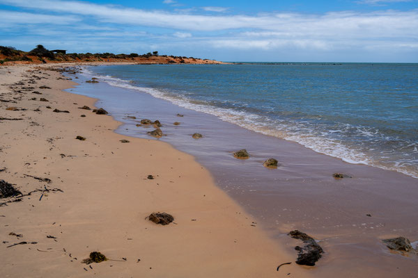 Shark Bay Halbinsel - Gregories Campground - der Strand beim Campground