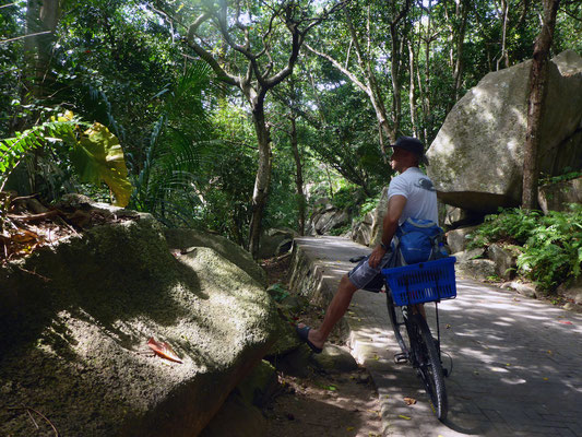 Unterwegs auf La Digue (Inselinneres)