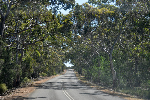 Unterwegs auf Kangaroo Island