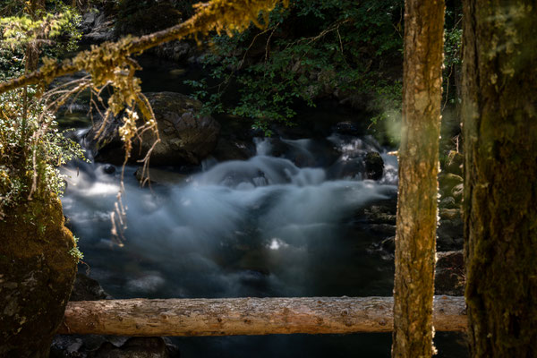 Little Qualicum Falls Provincial Park - Rundwanderung