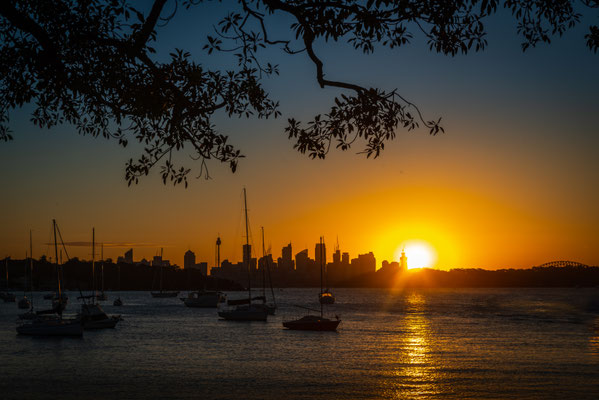 Watsons Bay Sunset - Robertson Park