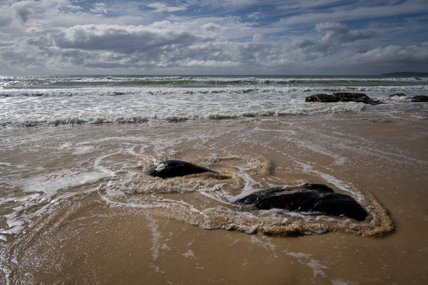Rainbow Beach - der Strand